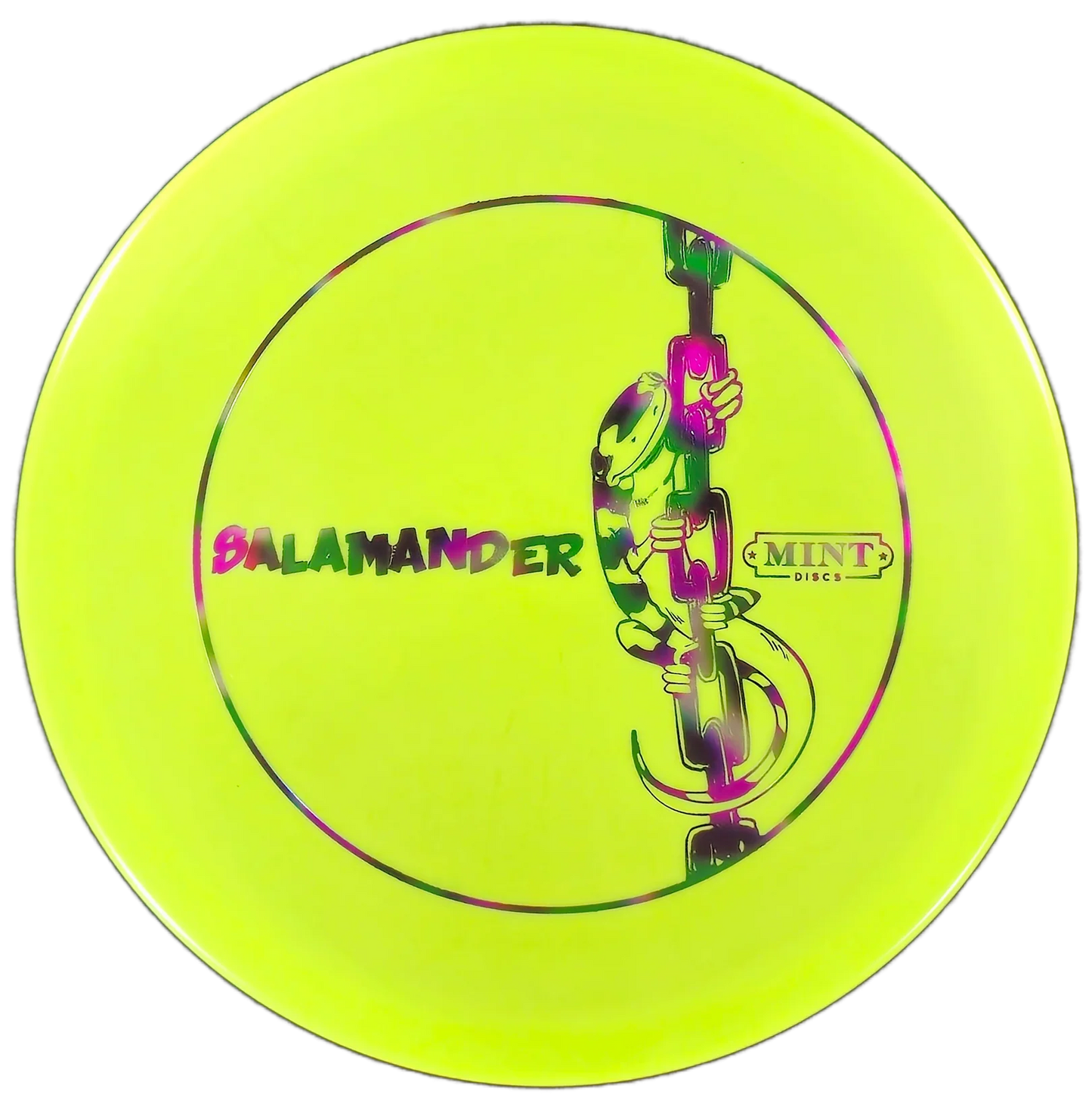 Salamander